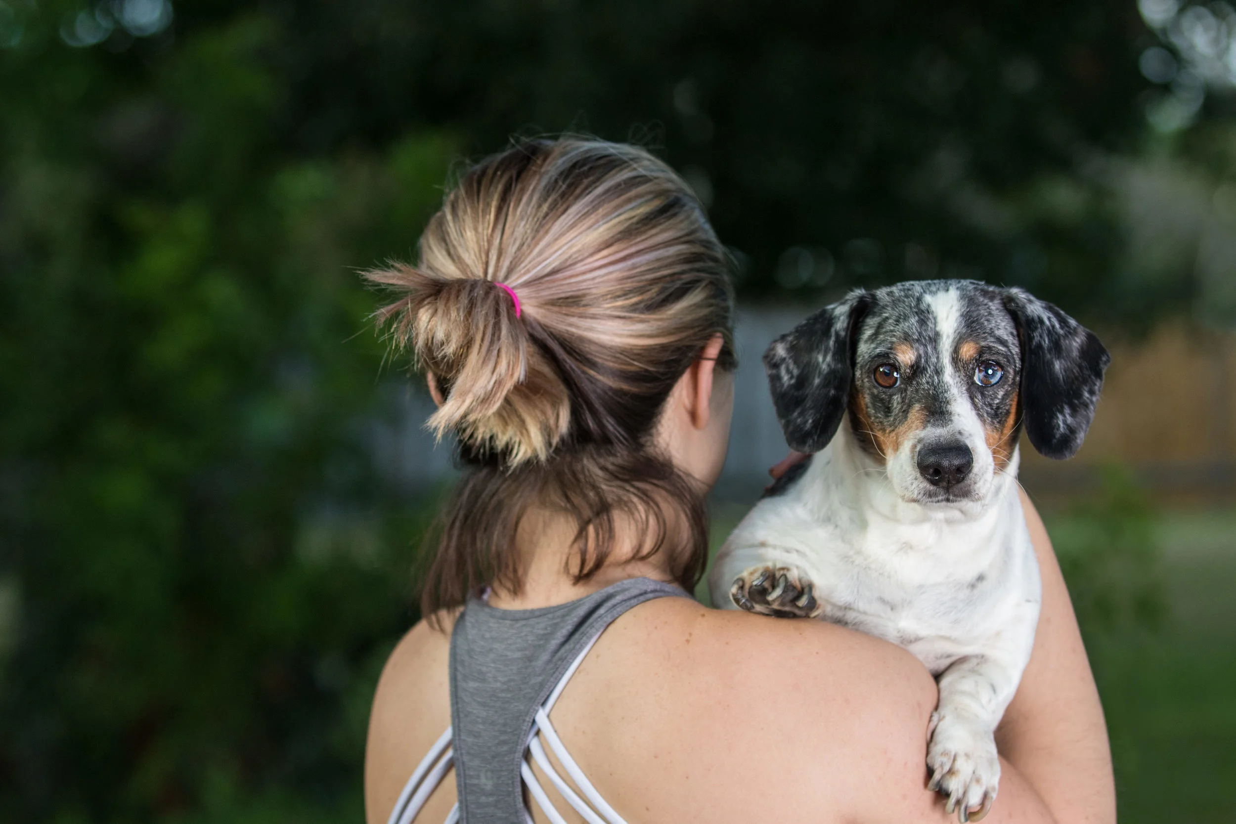 Pet_Portfolio_09.jpg