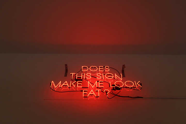 Alejandro Diaz  Does This Sign Make Me Look Fat , 2009 neon mounted on plexiglas 29 x 54 in (73.7 x 137.2 cm) 
