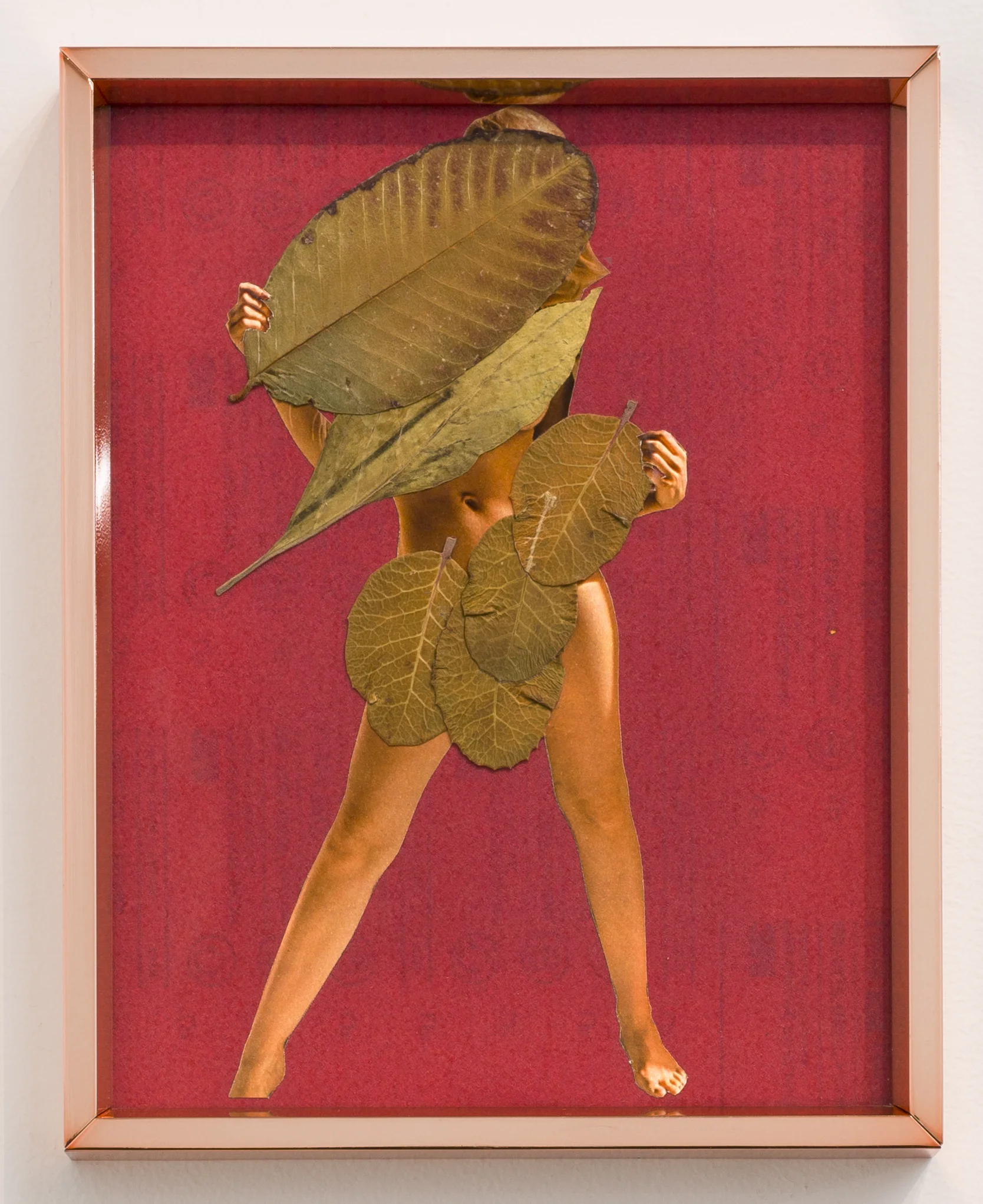 Karen Lofgren Could You Name What Is To Cure? #4 , 2016 magazine image, guayaba leaf, and toe leaf on sandpaper in copper frame 10 3/4 x 8 1/2 in (27.3 x 21.6 cm)