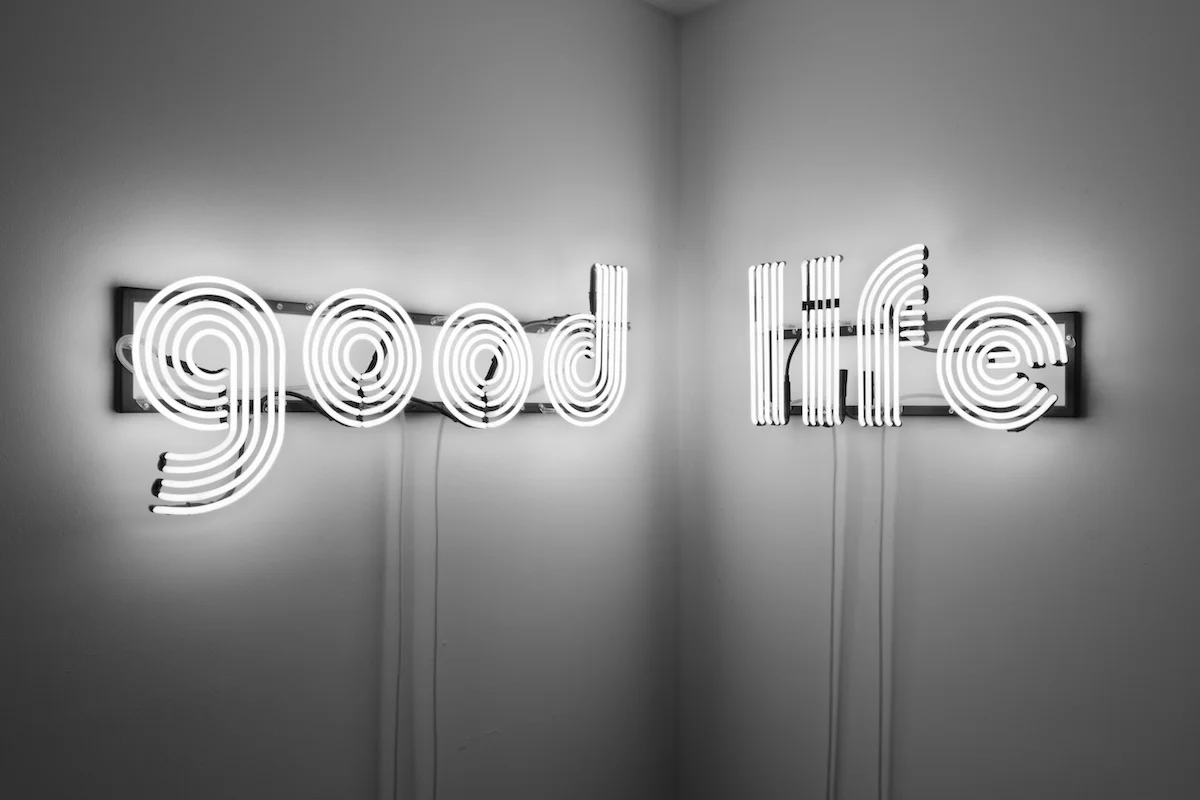 Kristin McIver The Good Life , 2011 neon, steel 71 x 18 in (180.3 x 45.7 cm)