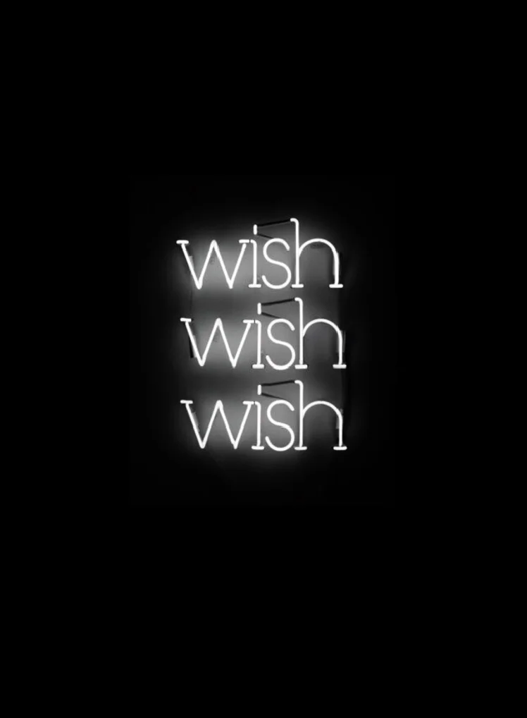 Kristin McIver Wishlist , 2010 neon 14 x 24 in (35.6 x 61 cm)