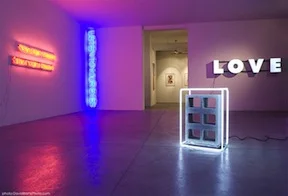 NEON AS A MEDIUM DAN ATTOE, ALEJANDRO DIAZ, TIMOTHY ERNST, MAURIZIO NANNUCCI, BRUCE NAUMAN, NATHANIEL RACKOWE, KEITH SONNIER, PETER WEGNER