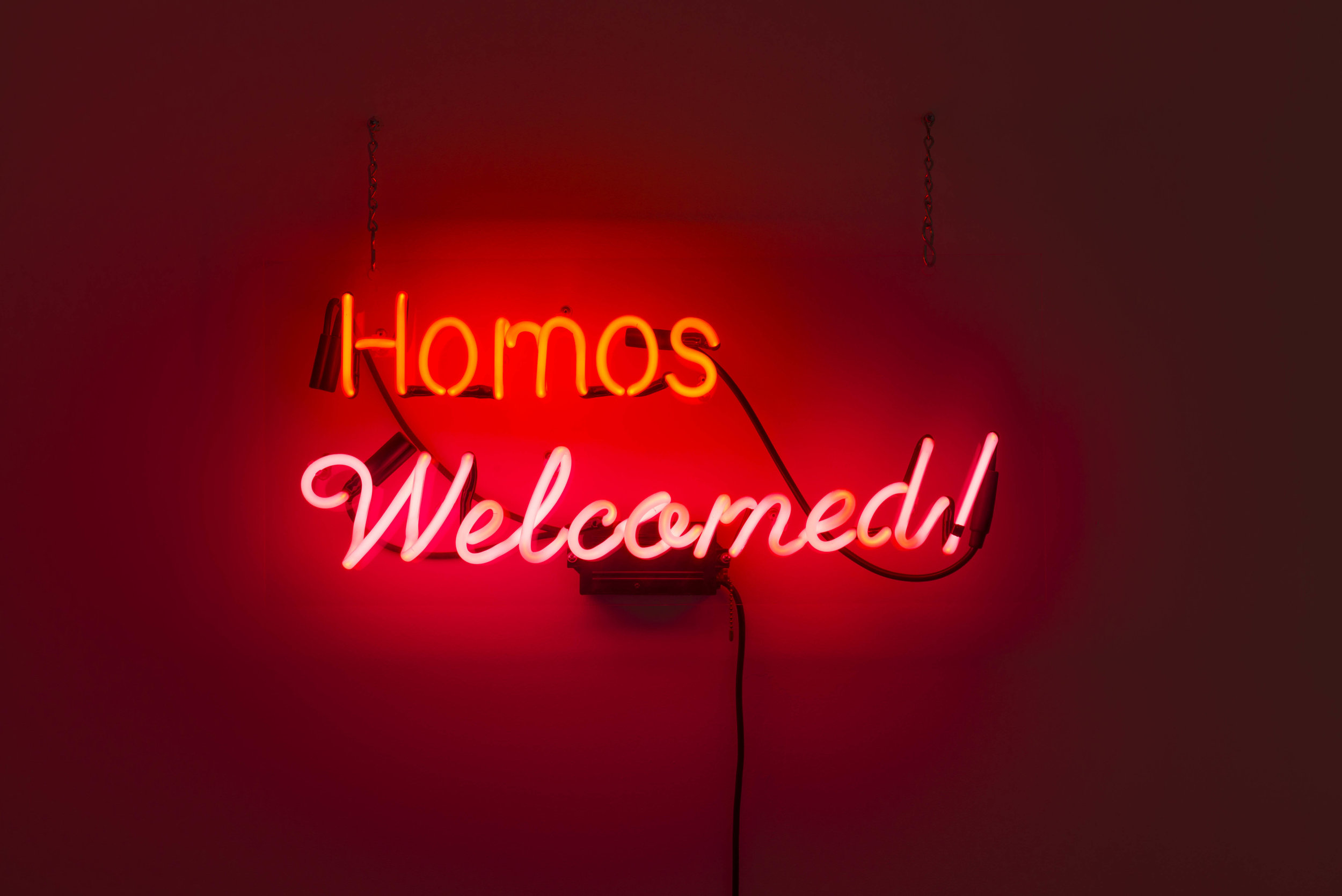  Alejandro Diaz  Homos Welcomed , 2009 neon on plexiglass 12 1/2 x 28 in (31.8 x 71.1 cm) 