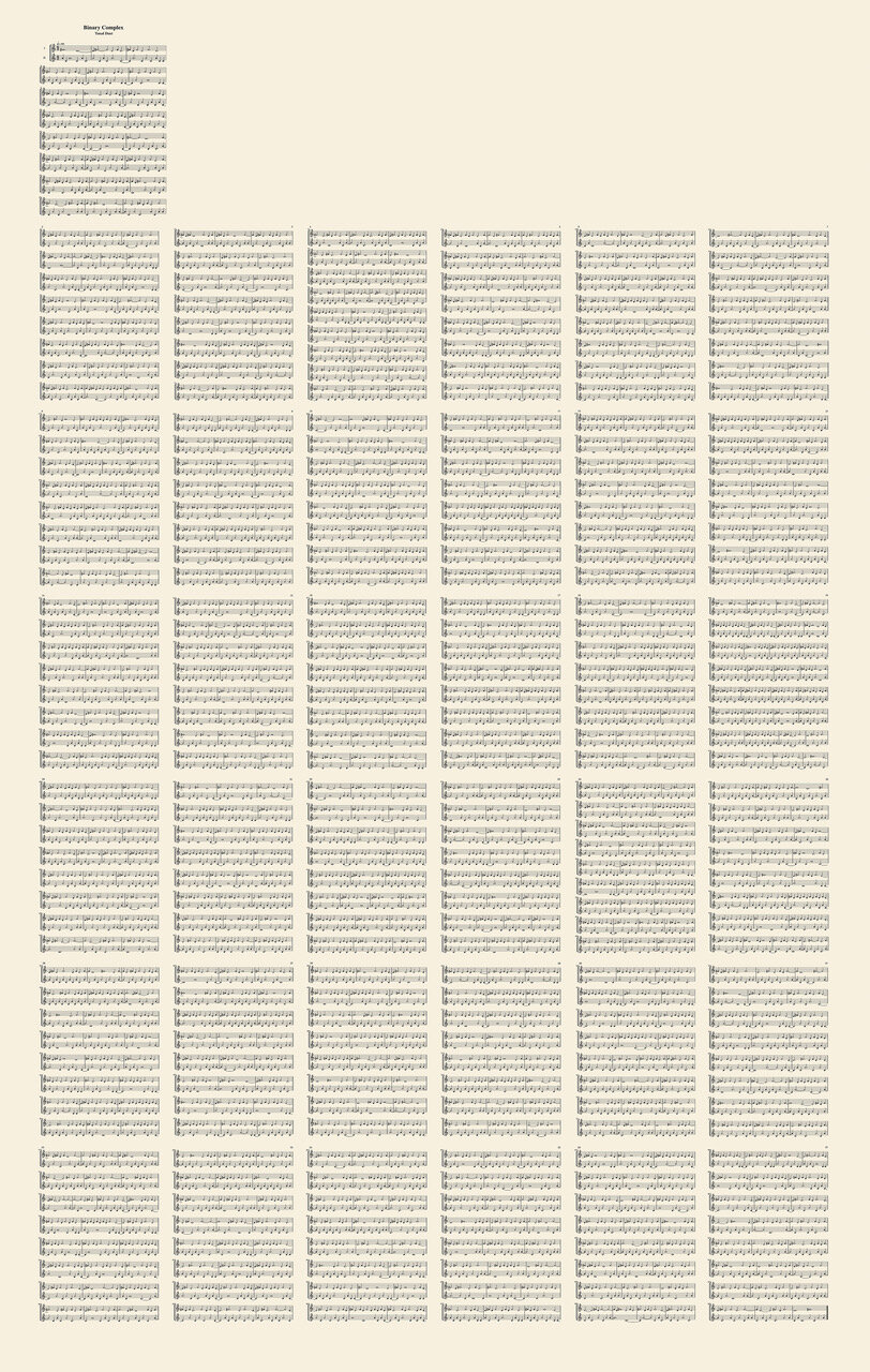   Binary Complex Tonal Duet Score , 2017 Epson print on Epson paper 68 x 44 in&nbsp; (172.7 x 111.8 cm) 