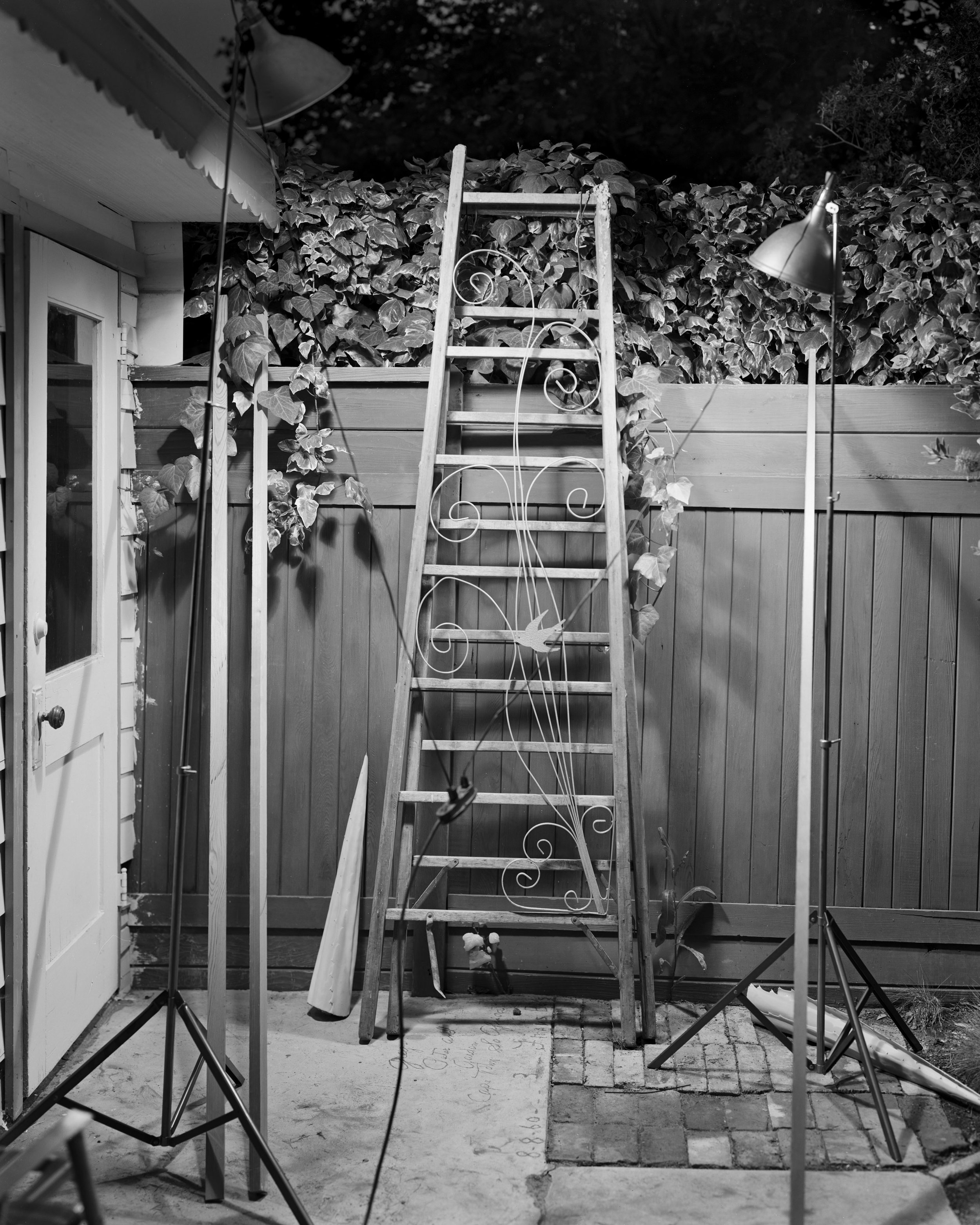  Robert Cumming  Ornamented Ladder with Aluminum Swallow , 1973/2020 archival digital pigment print 20 x 25 in&nbsp; (50.8 x 63.5 cm) 