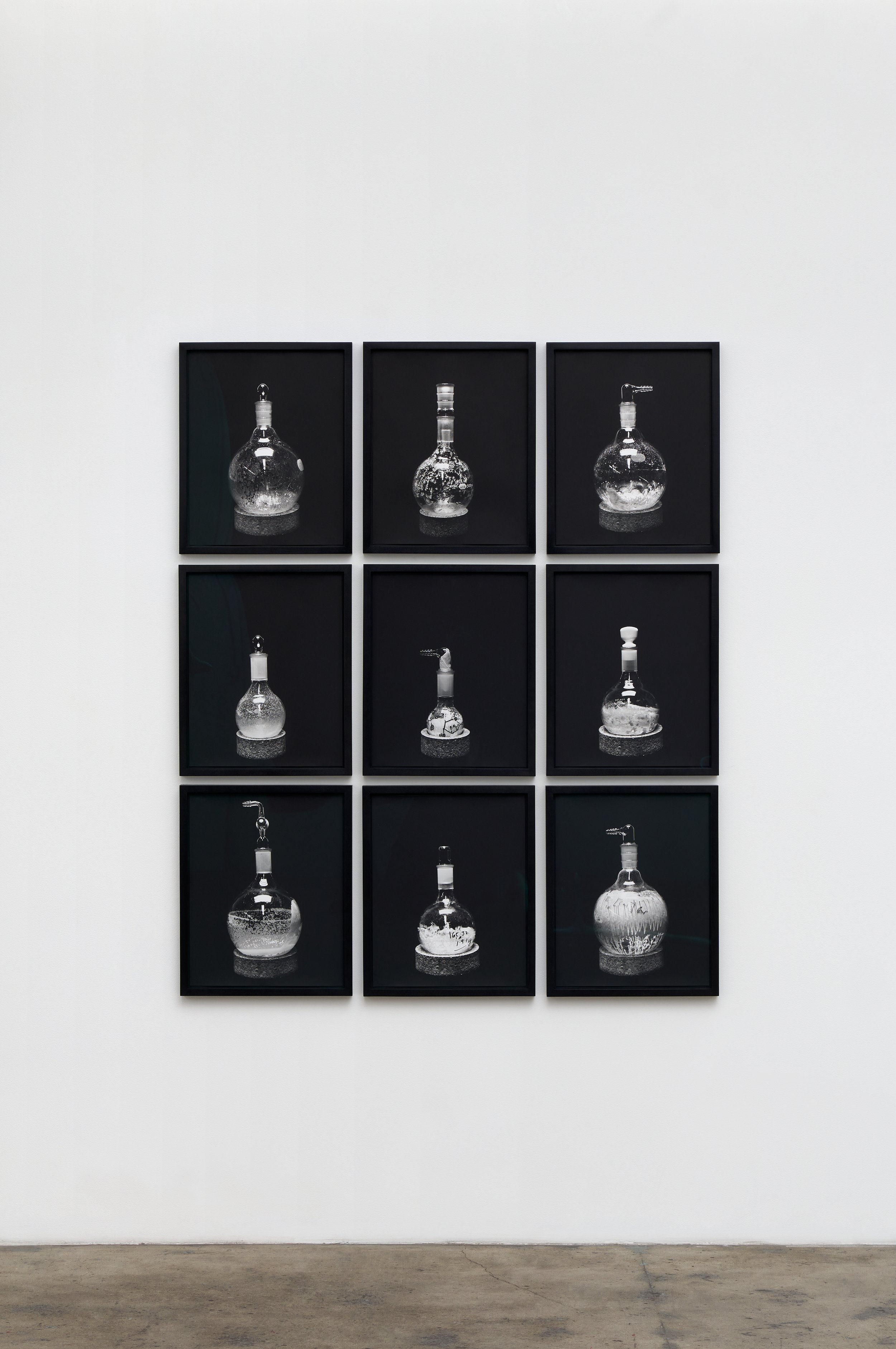  Catherine Wagner  Sequential Molecules , 1995 9, Gelatin silver prints, each floating black rag board, in a black stained wood frame, matching rag set-backs, Optium museum acrylic 18 x 22 in&nbsp; (45.7 x 55.9 cm) each 