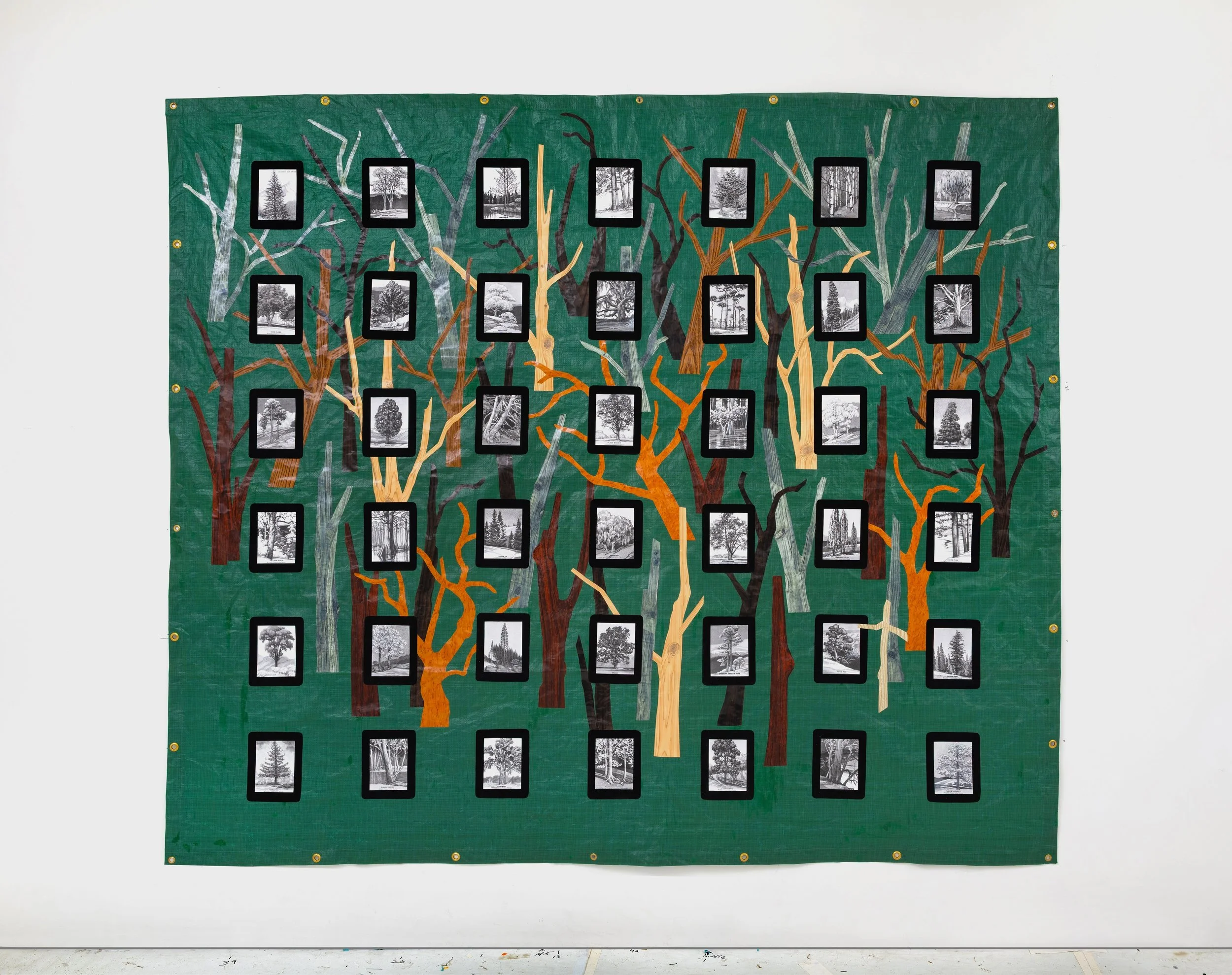 Memorial Tarp 2026.jpg