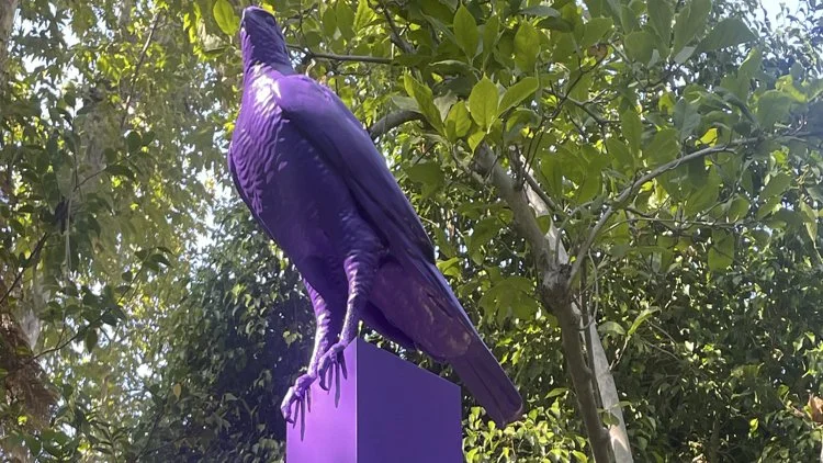 NMBird2.jpg