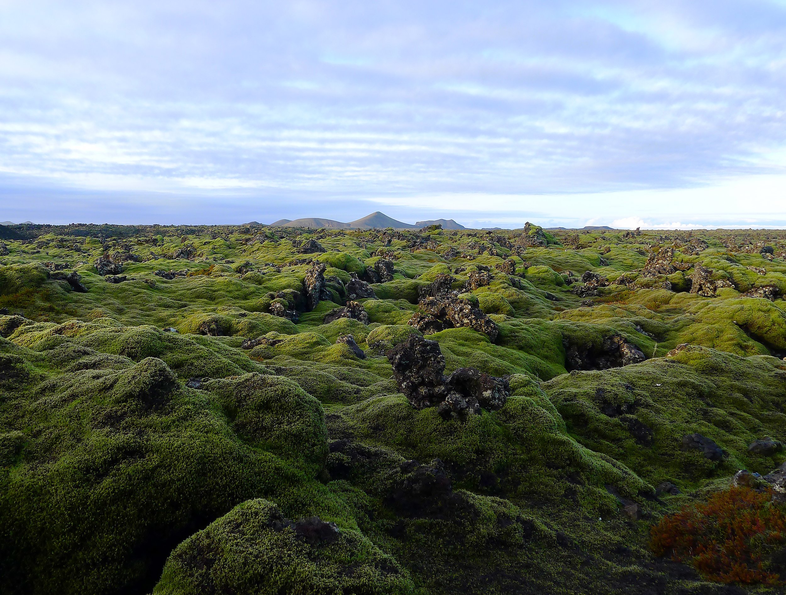 Reykjavik.jpg