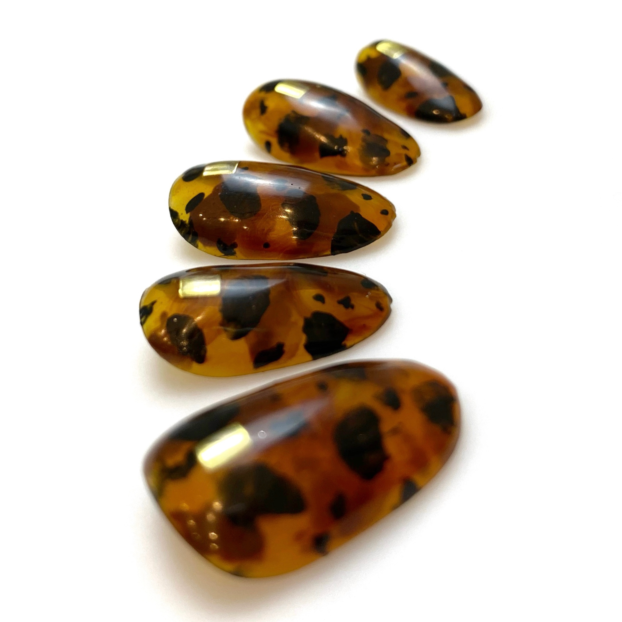 Amber Tortoise | Watch Me Work