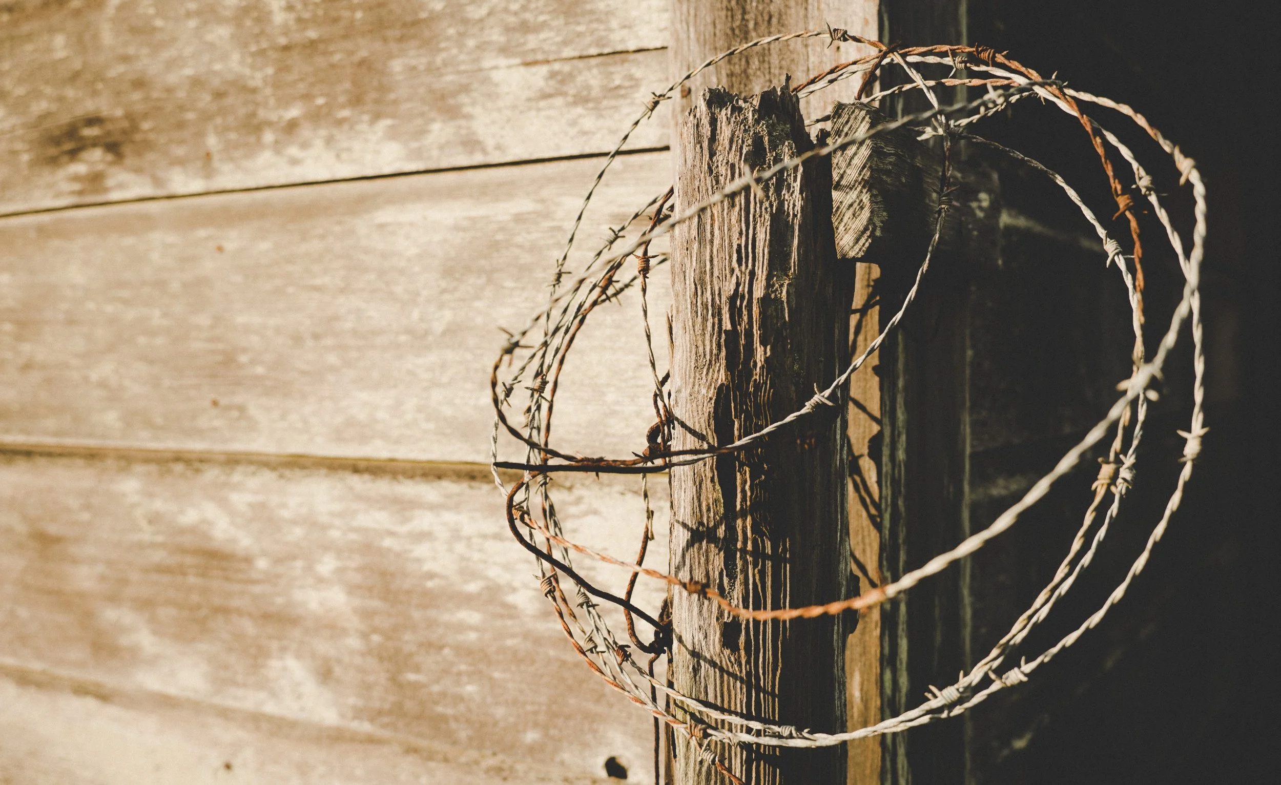 Barbed Wire Books