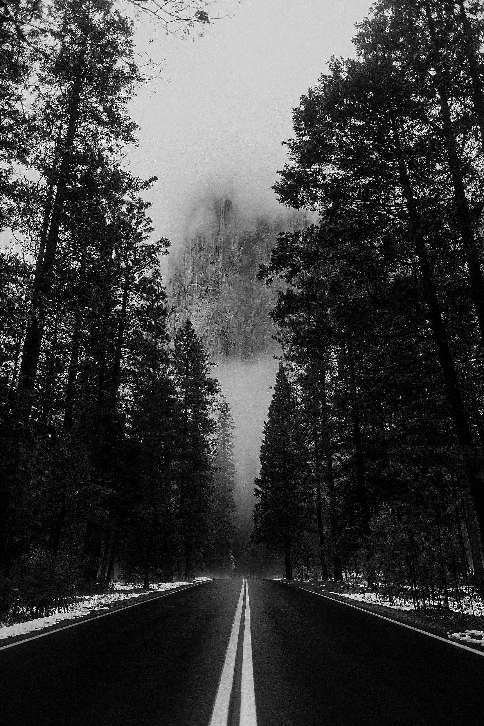 unsplash-image-MIspM6HIit8.jpg