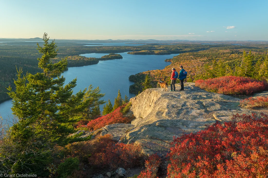 Vanlife: Frequently Asked Questions