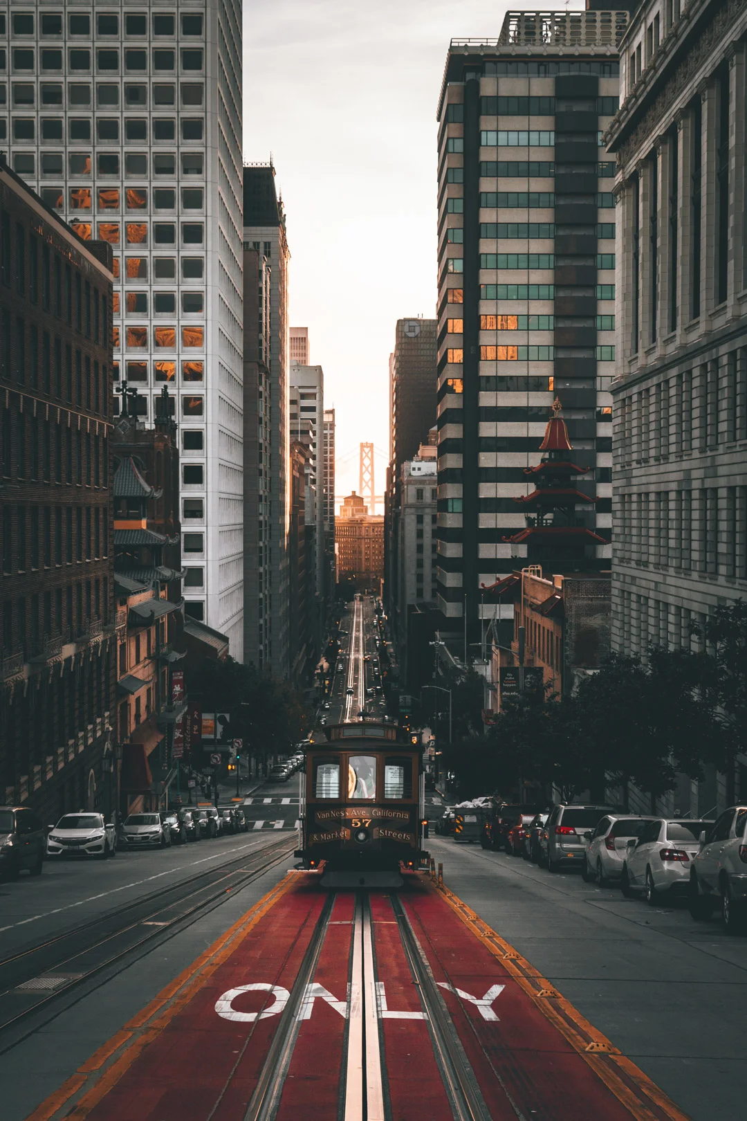 black friday!!!!!! cali (1 of 1).jpg