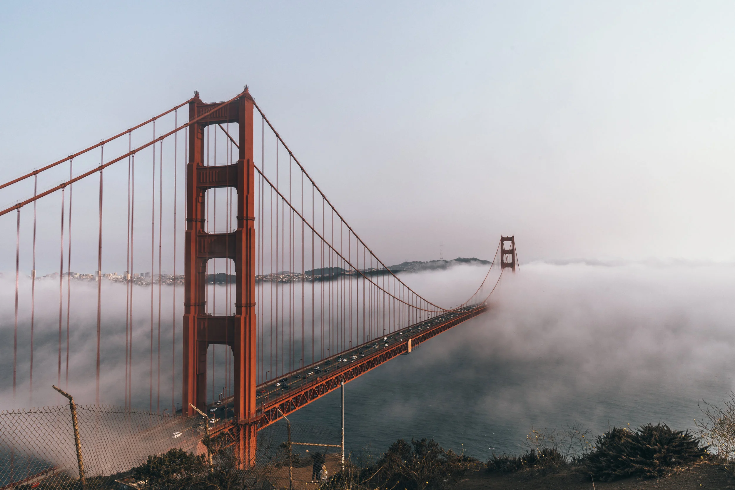 full-fog.jpg