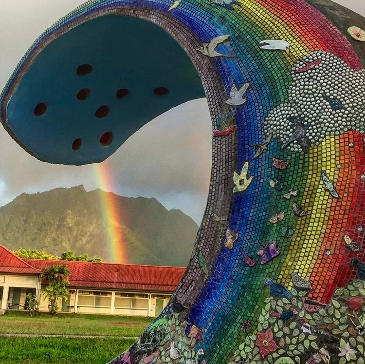 RAINBOWVISION.jpg