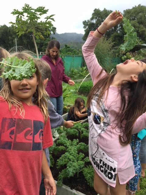 Kale 2.jpg