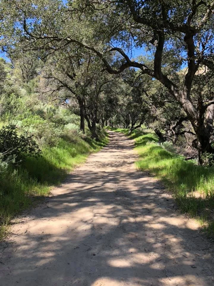 Receiving the Right Results