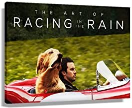 The Art of Racing in the Rain, Garth Stein