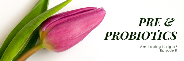 prebiotics banner.png