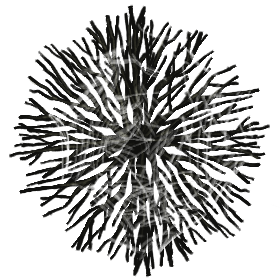 NP05_TreeWebPine05_10x10[nature, webbed tree, spider tree, web tree, webbed pine, web pine, forest, field, plain, plains, tree, pine tree].png