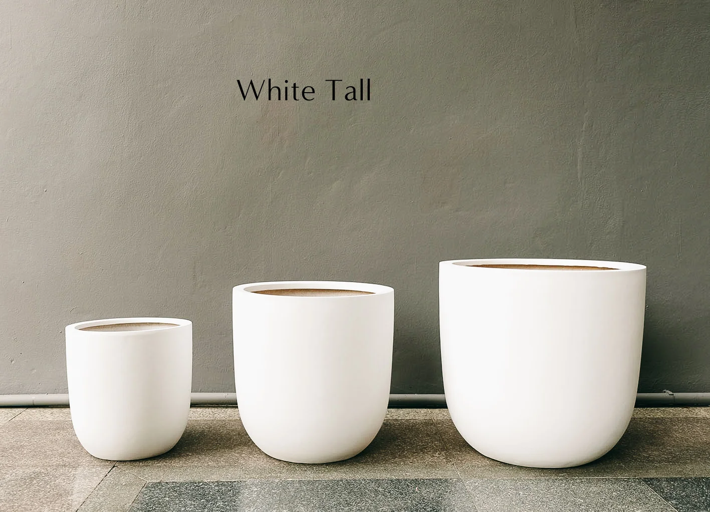 all-egg-shape-white-Edit.jpg