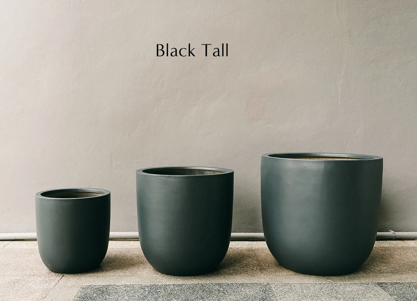 all-egg-shape-black-Edit.jpg