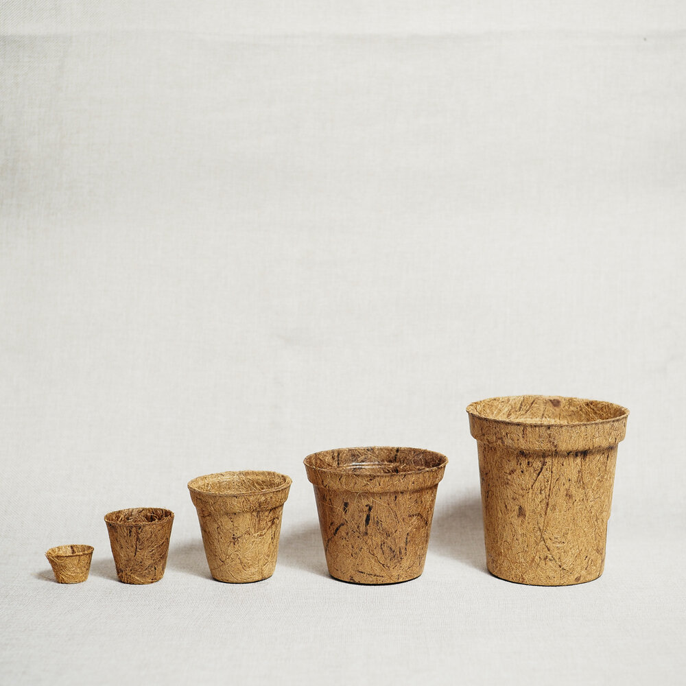 Biodegradable pots - Potta Planta