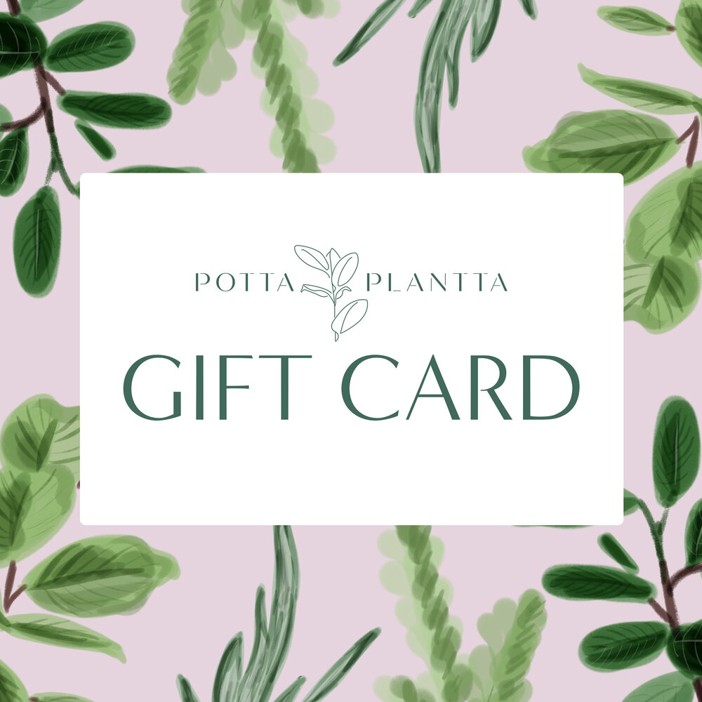 Gift card - Potta Planta