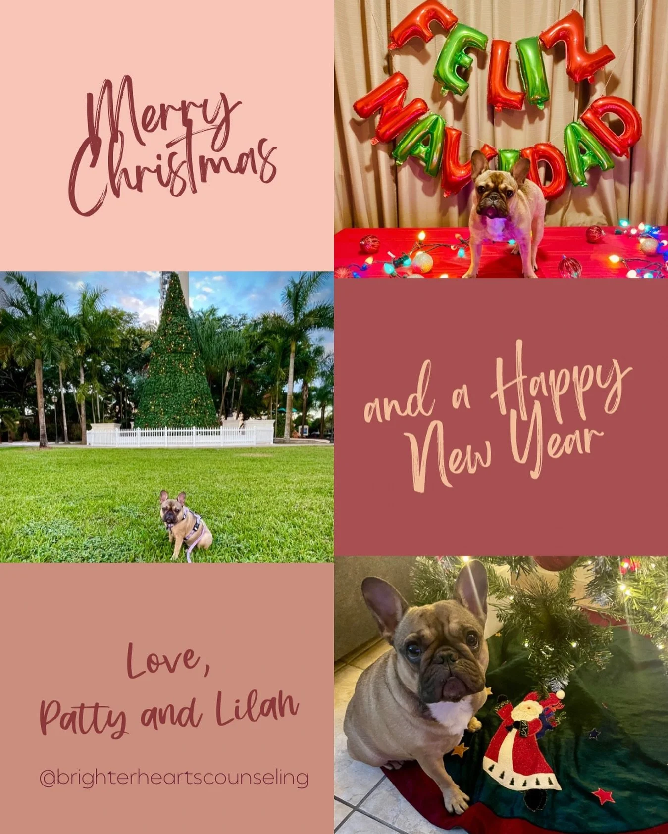 Merry Christmas from your favorite elf and mine! #christmasishere #merryandbright