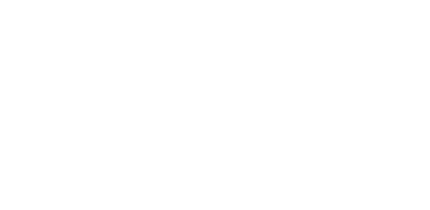 Texas Wild West