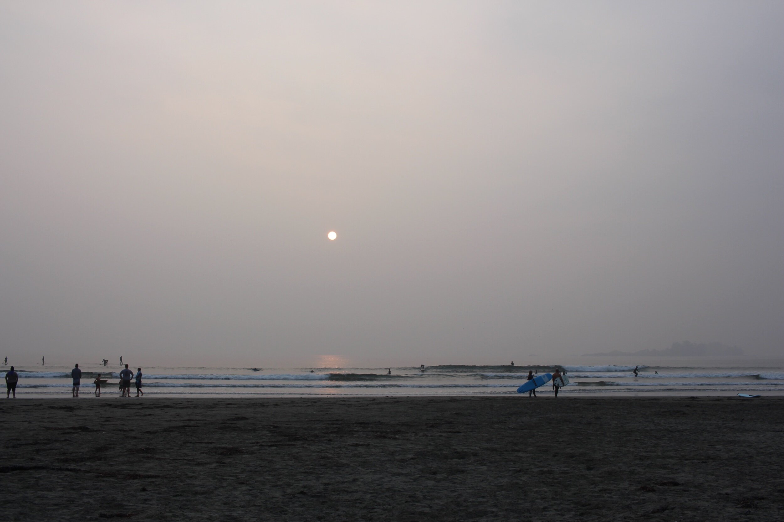 IMG_7429.jpeg