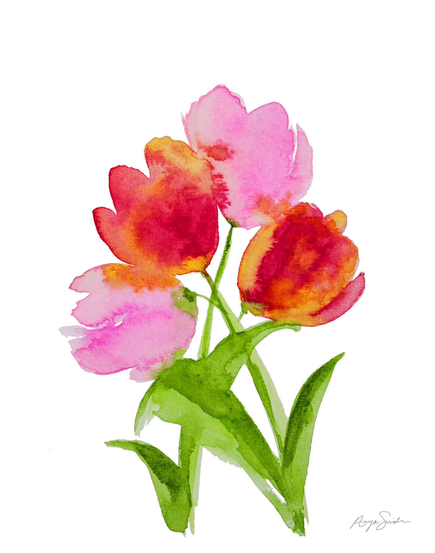 tulips-no-frame.png