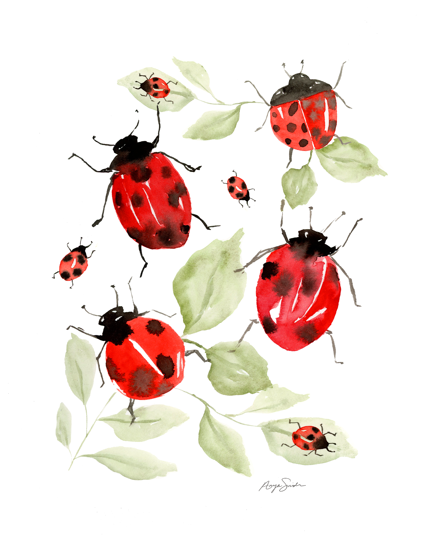 ladybug.png