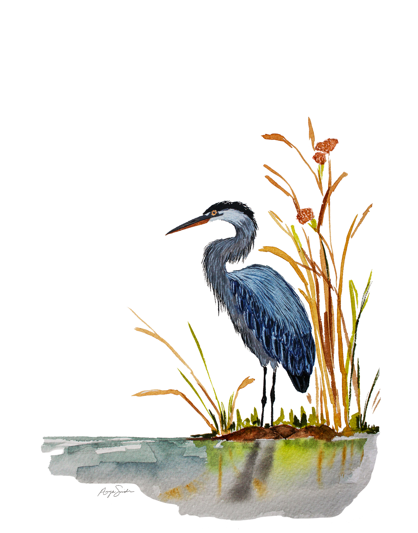 heron.png