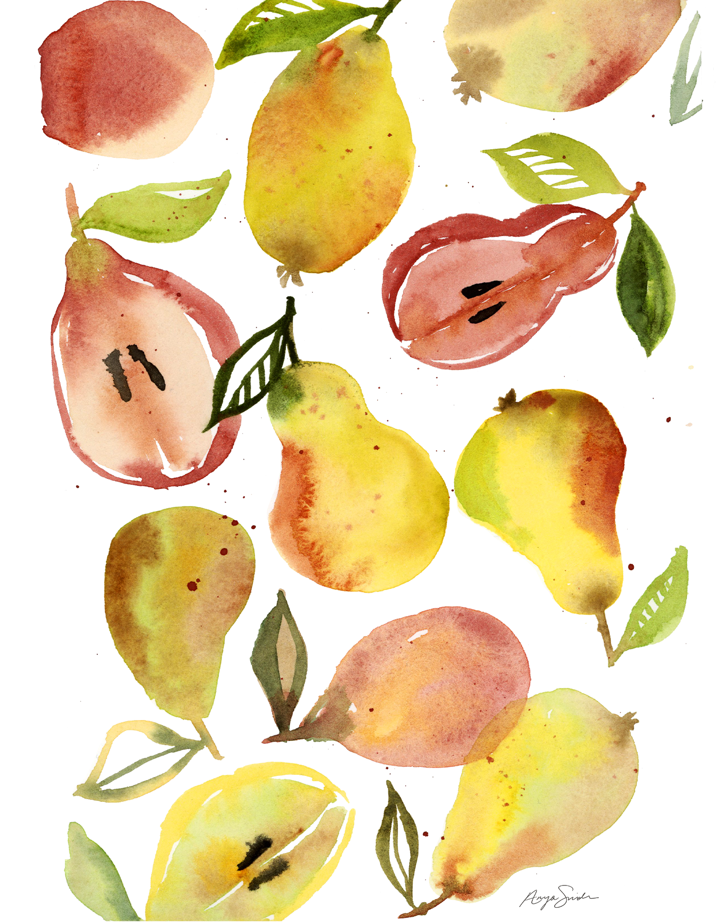 pears-large-.png