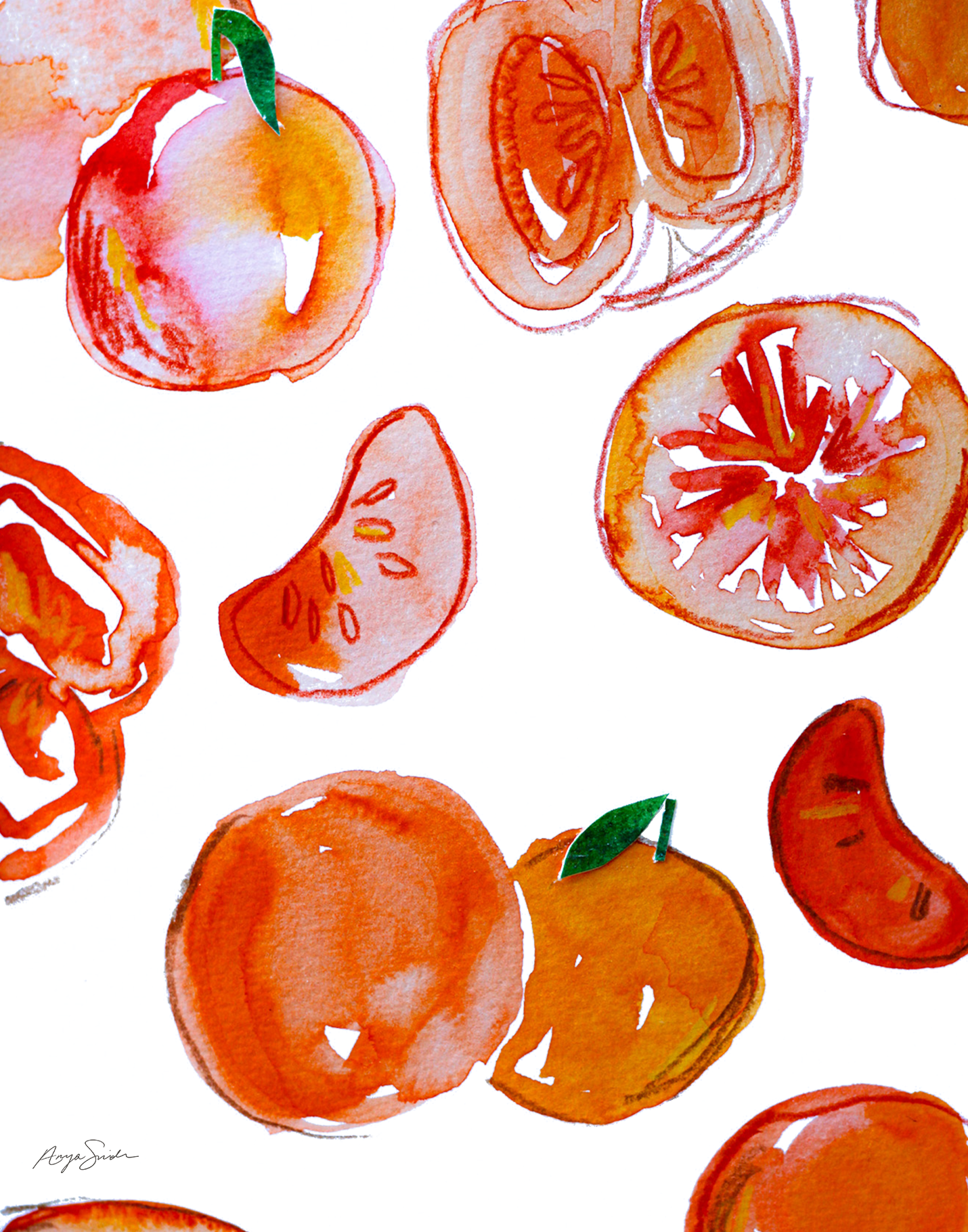 oranges-sketchs.png