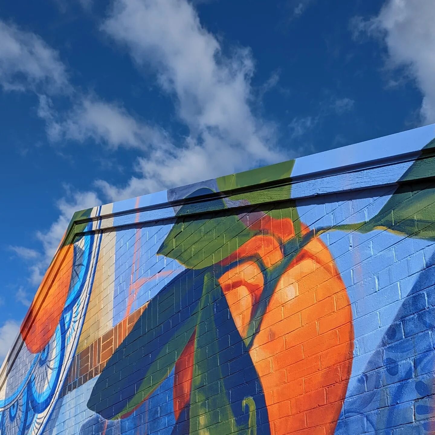 Loving the beautiful blue colours blending the mural and sky together. 

#bannalanefestival #visitgriffith #clairefoxton #laneway #nonnastable #art #painting