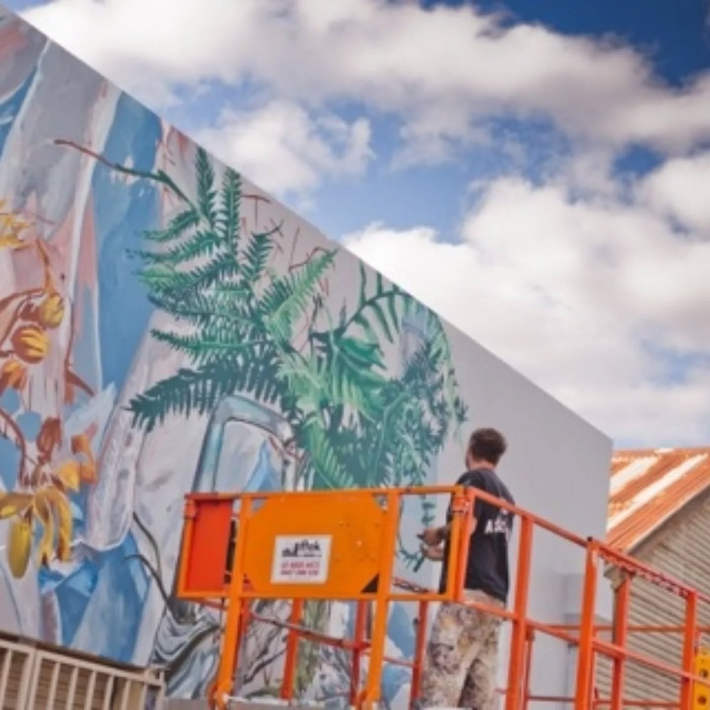 Some snaps of @fintan_magee mural throughout the week. Fintan is looking to finish up Saturday morning so stay tuned for final artwork shot

@visitgriffith