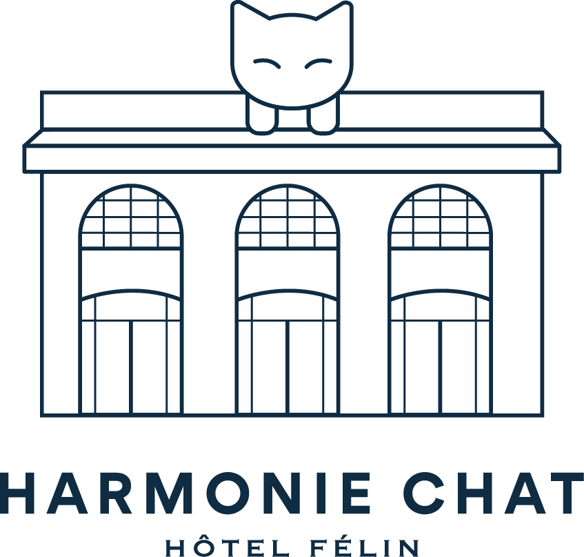 Harmonie Chat - Hôtel pour chats & Comportementaliste chat à Bordeaux