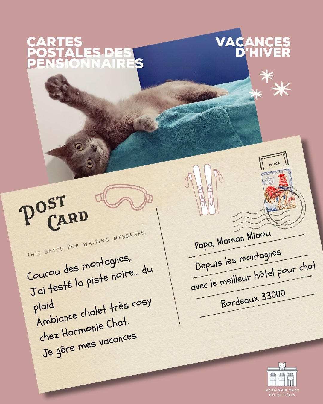 C'est pas les vacances que pour les humains !! Nos pensionnaires sont aussi all&eacute;s skier cette semaine, et on a bien rigol&eacute; !
Dites nous en commentaires ce que vous en avez pens&eacute; ! 👋

 #hotelpourchat #gardedechat #garderiechatbor