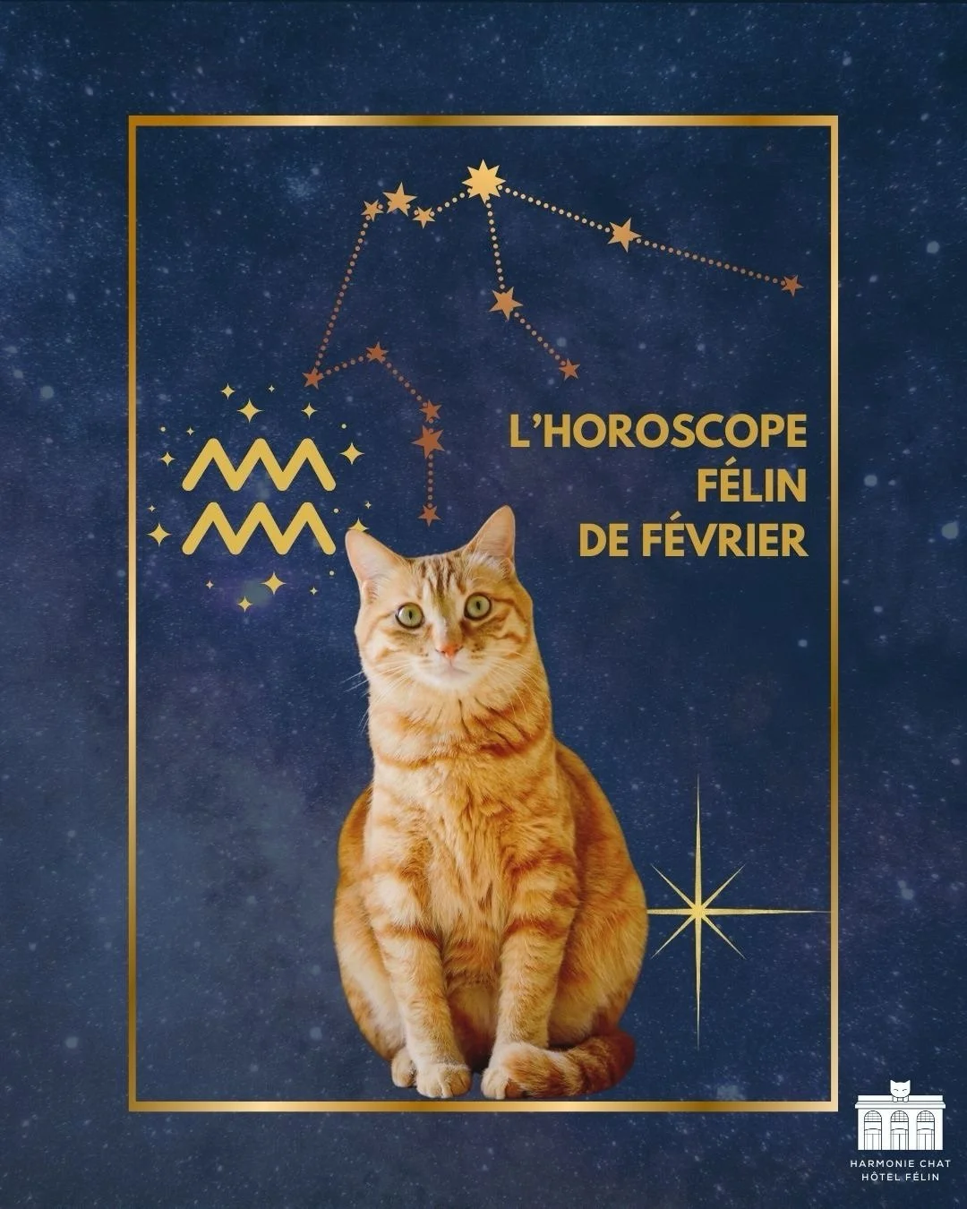 💛 Conclusion f&eacute;line de f&eacute;vrier
En f&eacute;vrier, les chats ont tous le m&ecirc;me besoin : du calme, de la douceur et du respect de leur rythme.
Et quand ces conditions sont r&eacute;unies, ils se d&eacute;tendent&hellip; vraiment 🐾✨