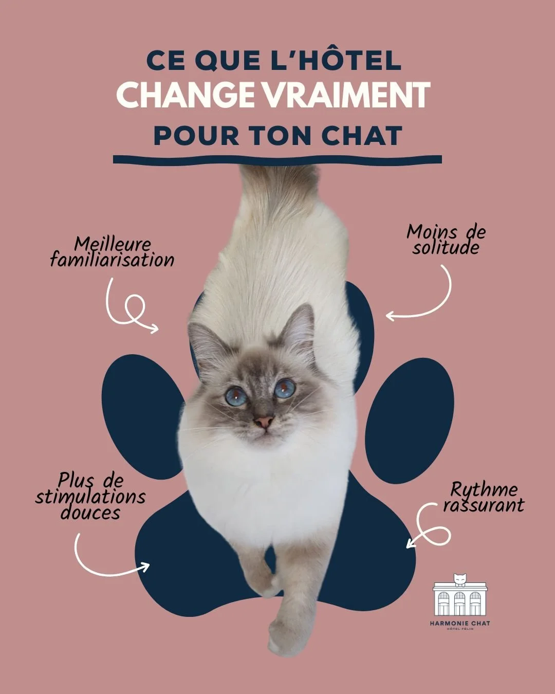 Ce que l'h&ocirc;tel change vraiment pour ton chat ✨⬇

🐈 Meilleure familiarisation !
Avec des humaines inconnues (B&eacute;r&eacute;nice et moi m&ecirc;me) et aussi avec ses cong&eacute;n&egrave;res. Comme pour les humains, plus nous sommes en conta