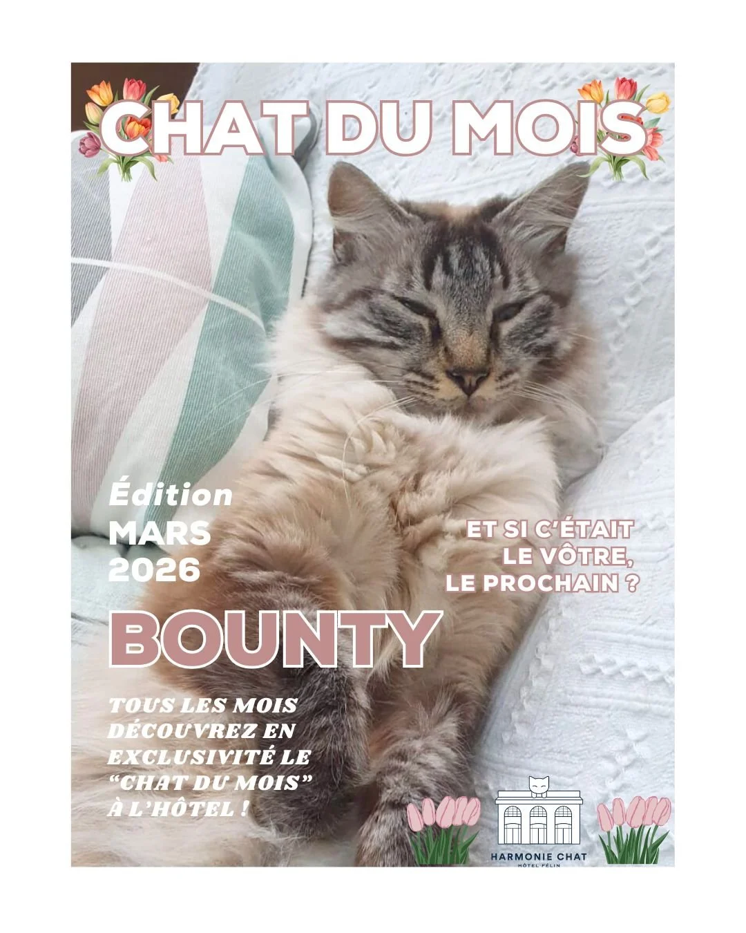 Bounty, et oui il est &agrave; croquer ! 🥰 

Petite peluche toute douce, c'est un v&eacute;ritable coup de coeur &agrave; l'h&ocirc;tel ! 

Je trouve que Bounty repr&eacute;sente bien le mois de Mars, doux, calme, serein, pr&ecirc;t &agrave; attaque