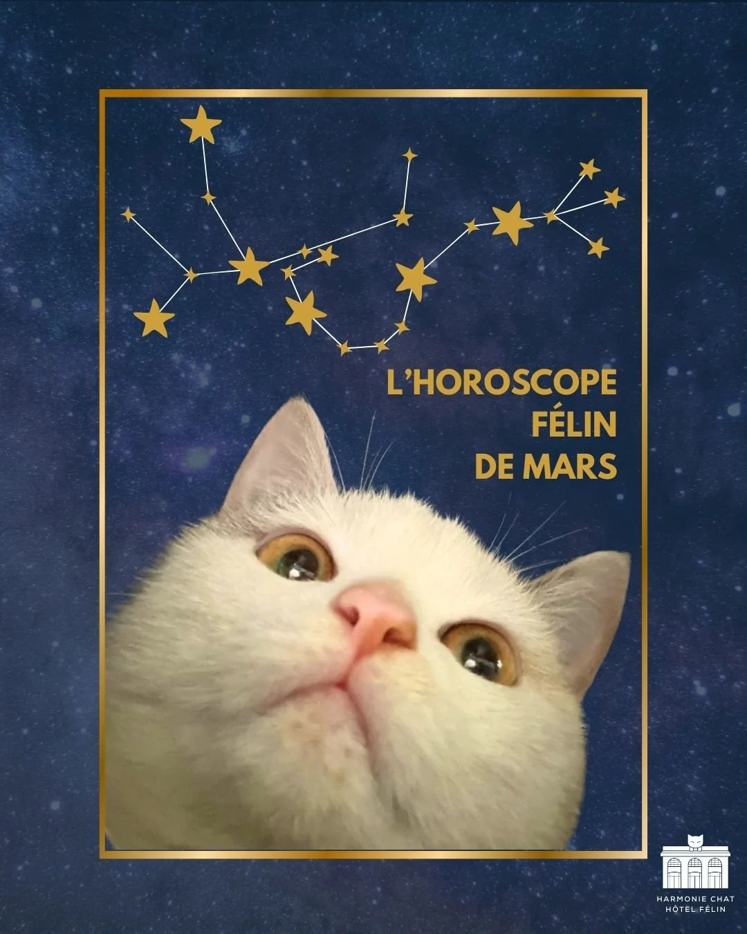 Madame Irma vous a livr&eacute; son nouvel horoscope de Mars ! 🔮

Petite pr&eacute;f&eacute;rence pour le Taureau 🤫 et vous quel signe vous pla&icirc;t le plus ?

#astrologie #chat #harmoniechat #hotelpourchat #hotelpourchatbordeaux