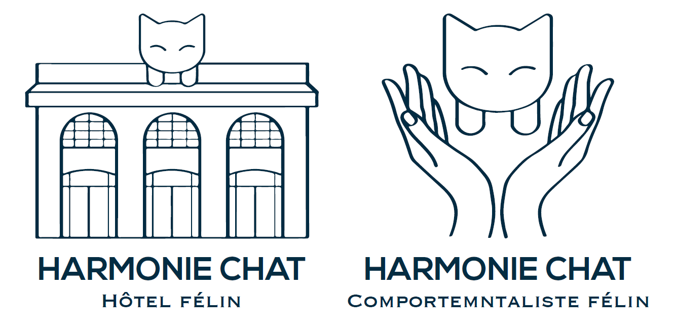 Harmonie Chat - Hôtel pour chats &amp; Comportementaliste chat à Bordeaux