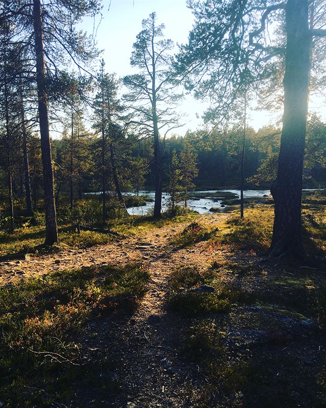 Takana n 75km #urhokekkosenkansallispuisto ssa. Sanoinkuvaamattoman hieno paikka. Ja my&ouml;s kuvinsanomattoman, koska ei sit&auml; luonnon upeutta n&auml;ihin kuviin saa. Ainakaan mun kuvaustaidoilla. Rakastuin t&auml;h&auml;n paikkaan ja tulen uud