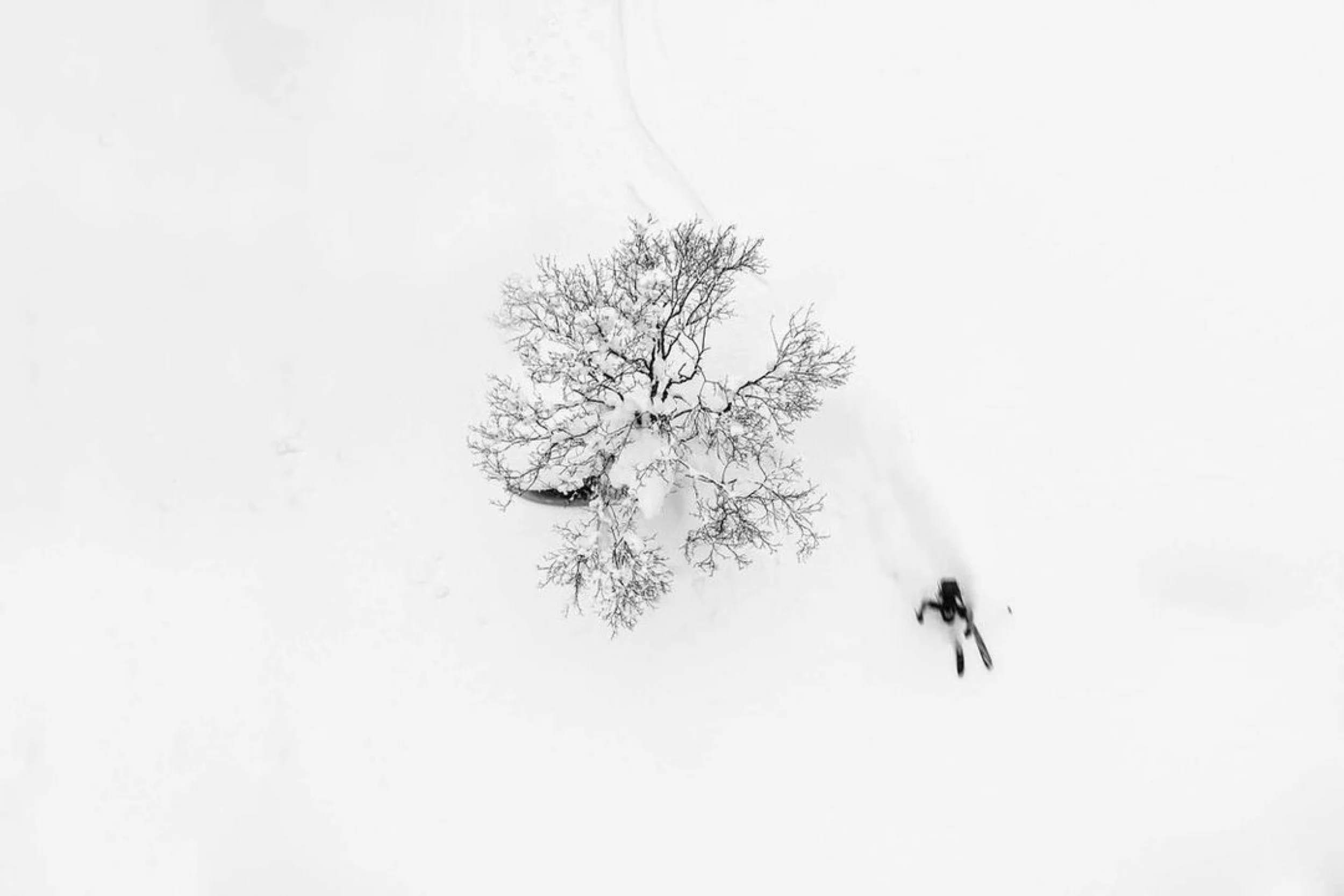 2020-21 First Prize, Ski