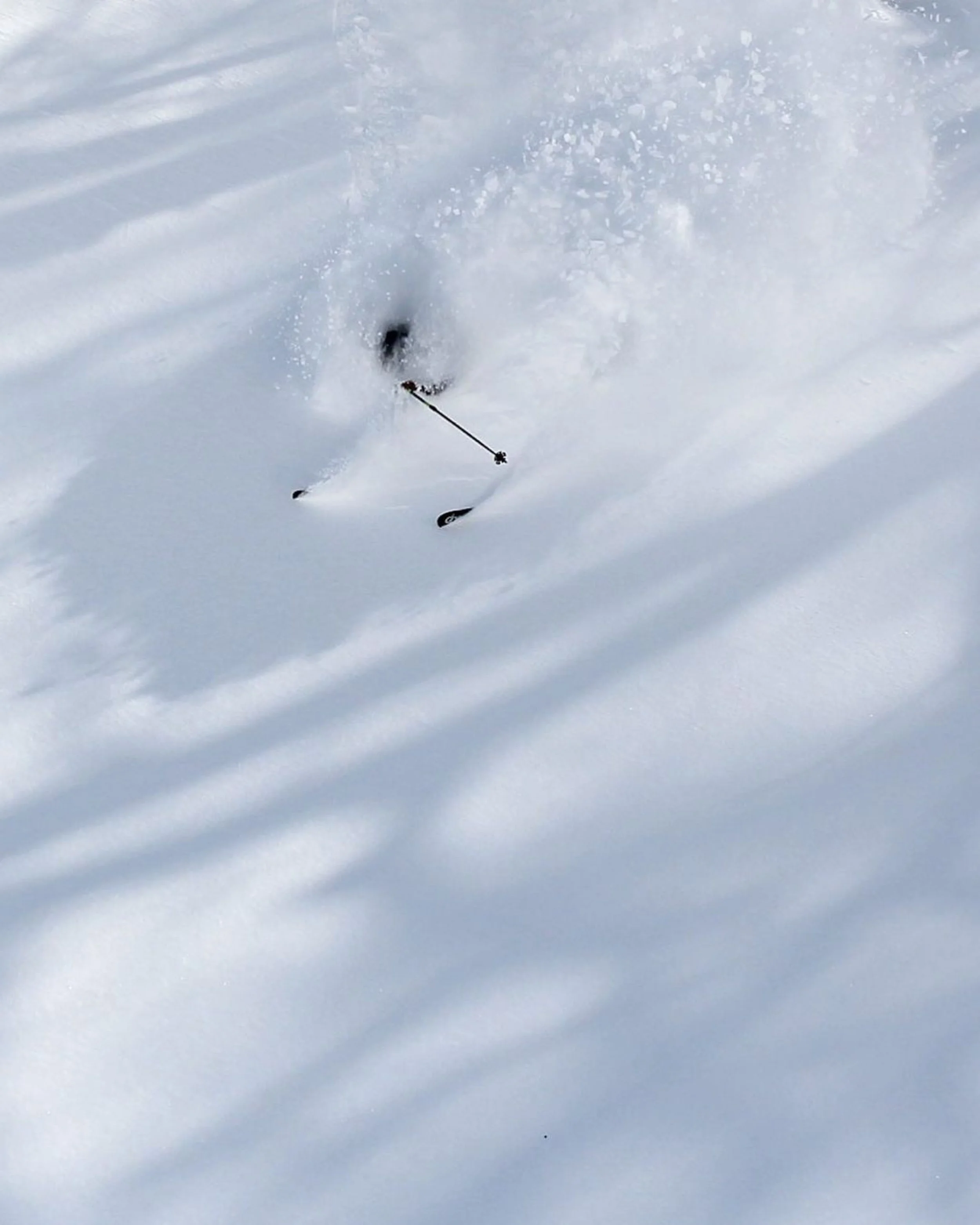 2020-21 Second Prize, Ski