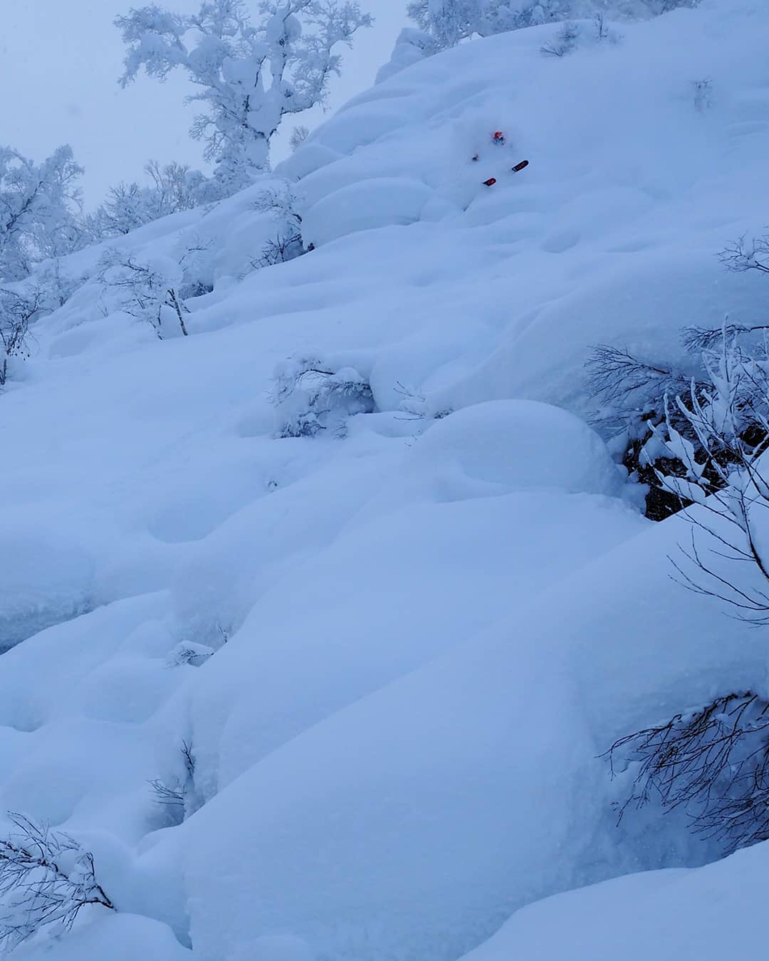 2020-21 Third Prize, Ski